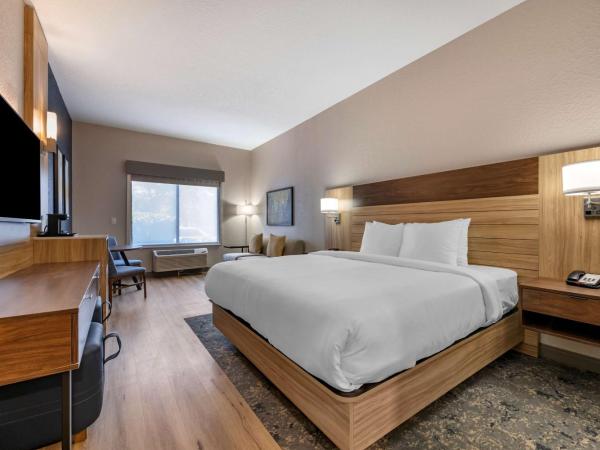 Best Western Plus Orlando East - UCF Area : photo 1 de la chambre chambre lit king-size avec canapé-lit