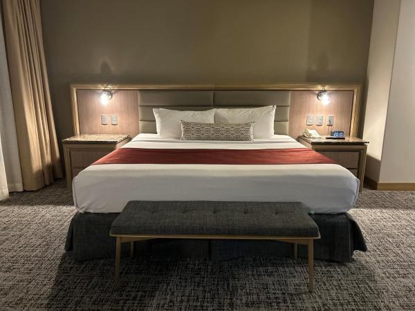 Crowne Plaza Hotel Mexico City North-Tlalnepantla, an IHG Hotel : photo 3 de la chambre chambre lit king-size standard