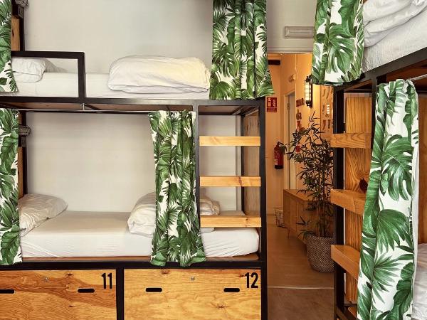 Surfing Etxea - Surf Hostel : photo 3 de la chambre lit dans un dortoir de 4 lits