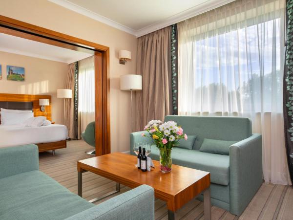 Hilton Garden Inn Krakow : photo 3 de la chambre suite junior