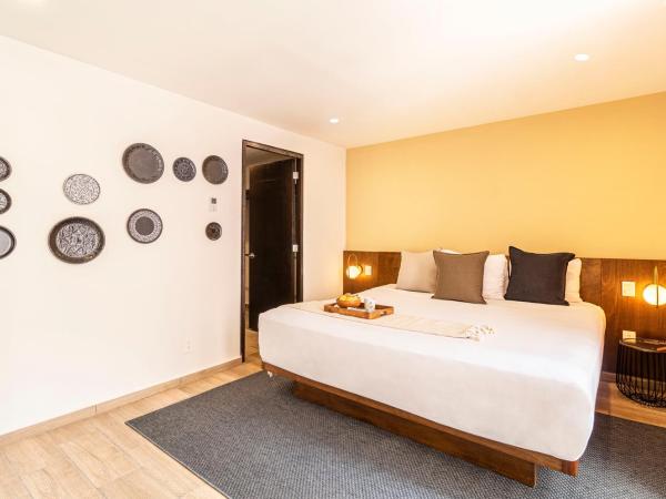 Grand Chapultepec Residencial : photo 8 de la chambre appartement 2 chambres