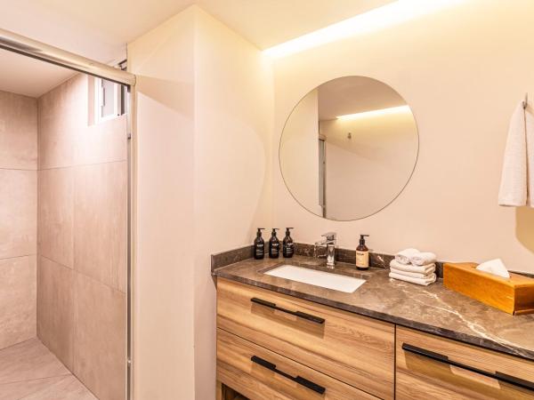 Grand Chapultepec Residencial : photo 8 de la chambre appartement standard