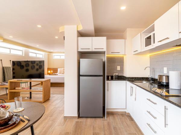 Grand Chapultepec Residencial : photo 3 de la chambre appartement supérieur