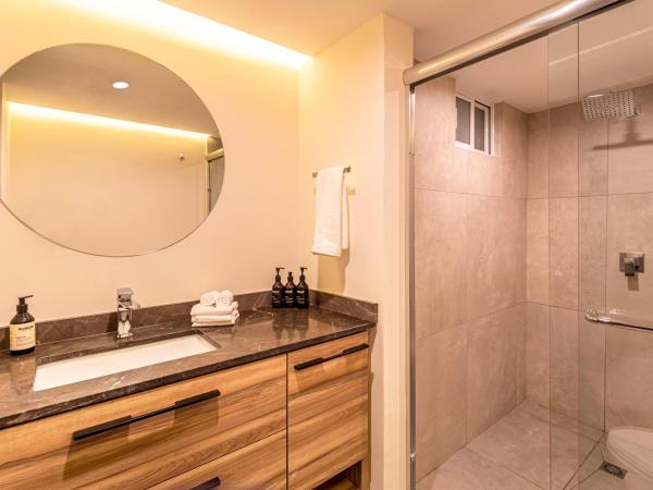 Grand Chapultepec Residencial : photo 9 de la chambre appartement supérieur