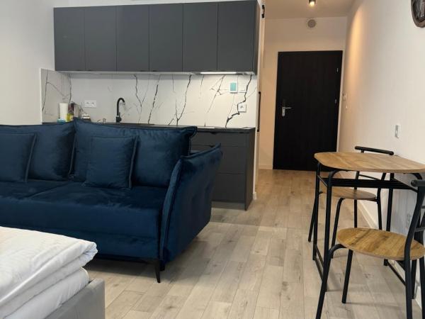 Apartamenty Baltic Sea Solny A146 : photo 7 de la chambre studio familial