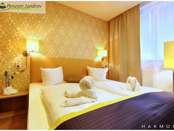 Penzion Vanessa : photo 1 de la chambre chambre de luxe double ou lits jumeaux avec baignoire spa