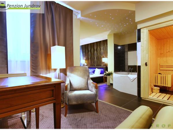 Penzion Vanessa : photo 4 de la chambre chambre de luxe double ou lits jumeaux avec baignoire spa