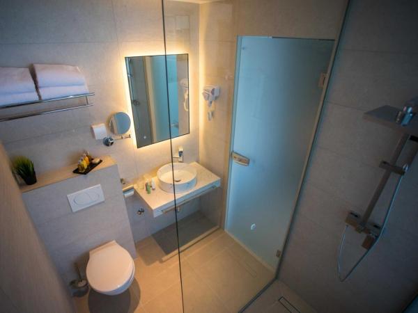 Royaluxs Hotel Plaza : photo 3 de la chambre chambre double avec salle de bains privative