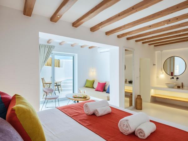 Akkadian LGBT Boutique Hotel : photo 5 de la chambre akkadian suite with plunge pool