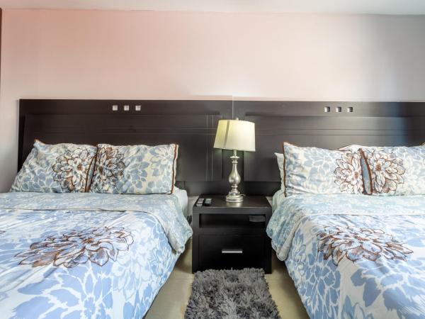 Suites 259 Condesa : photo 2 de la chambre suite supérieure 