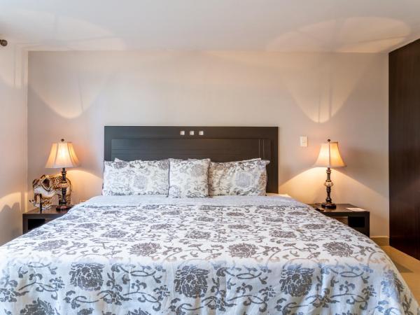 Suites 259 Condesa : photo 3 de la chambre studio supérieur