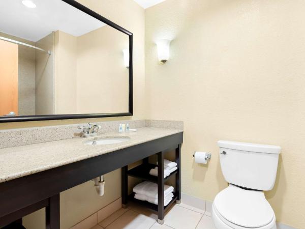 Comfort Suites Tampa Airport North : photo 4 de la chambre suite lit king-size – non-fumeurs
