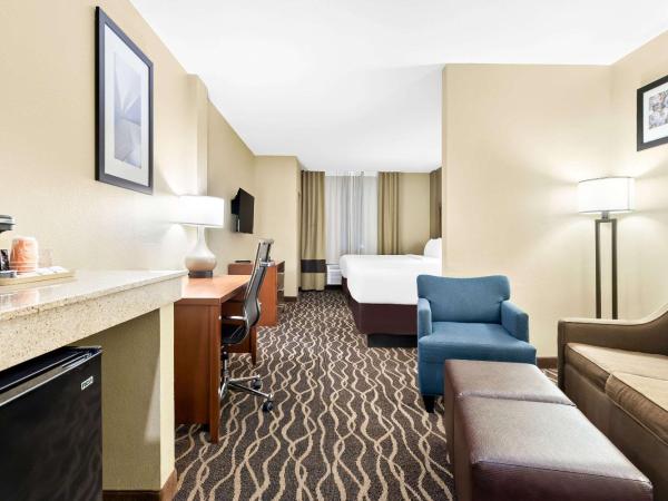 Comfort Suites Tampa Airport North : photo 2 de la chambre suite lit queen-size – non-fumeurs