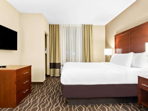 Comfort Suites Tampa Airport North : photo 1 de la chambre king suite - accessible /non smoking first floor