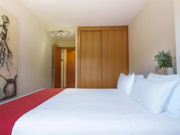 Bilbao Apartamentos Atxuri : photo 2 de la chambre appartement 1 chambre standard