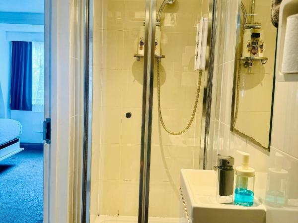 The Dome : photo 9 de la chambre loft