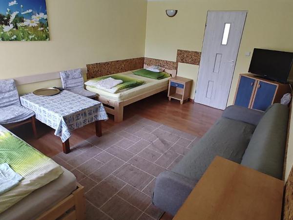 Turystyczny Dom Noclegowy Perełka : photo 4 de la chambre chambre double avec terrasse