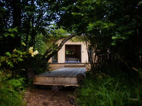 The Lazy T : photo 2 de la chambre chalet