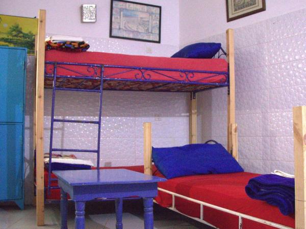 White And Blue : photo 3 de la chambre lit simple dans dortoir à 6 lits