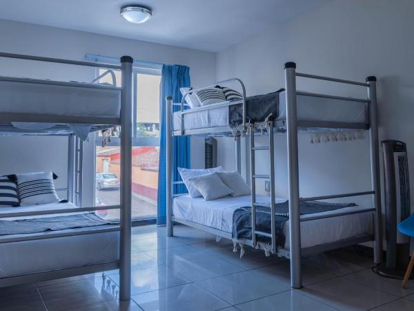 Esencia Hostel Terminal Oaxaca : photo 1 de la chambre lit superposé dans dortoir pour femmes