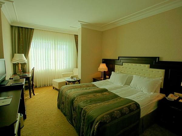 Latanya Palm & SPA Airport Antalya : photo 4 de la chambre chambre double standard