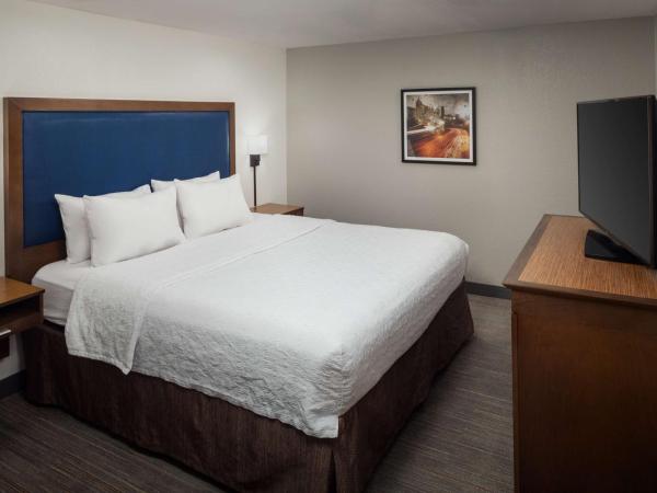 Hampton Inn Atlanta-Northlake : photo 2 de la chambre offre spéciale - suite lit king-size - non-fumeurs