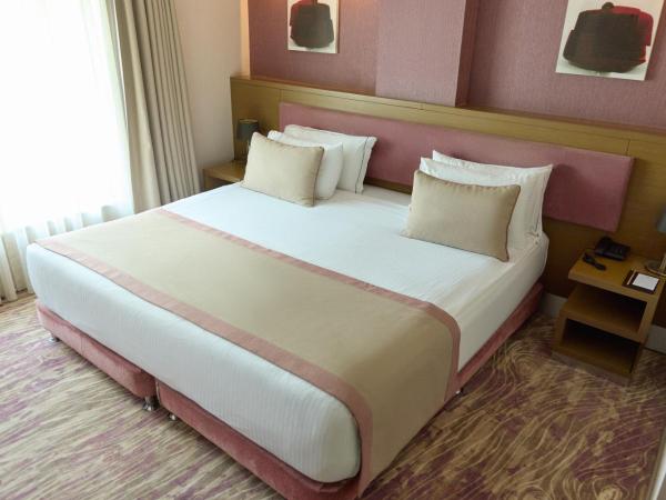 Avantgarde Hotel Levent : photo 3 de la chambre grande chambre double deluxe - accès gratuit au spa