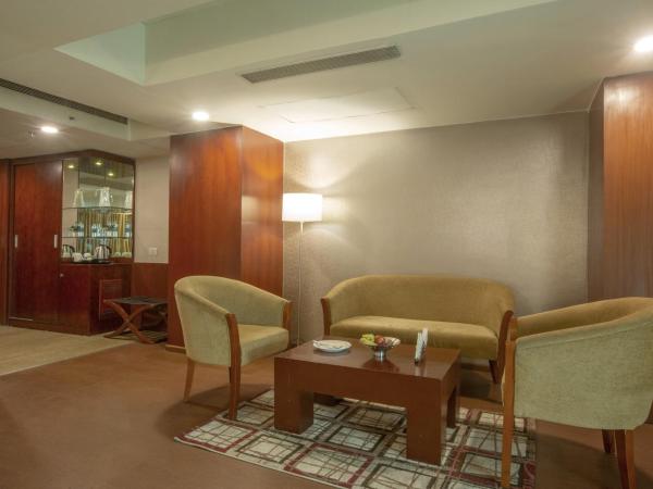 Vesta International : photo 5 de la chambre suite