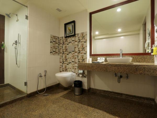 Vesta International : photo 8 de la chambre suite