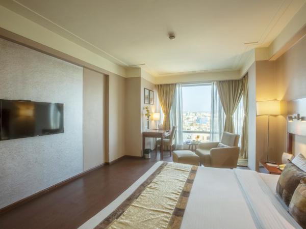 Vesta International : photo 3 de la chambre chambre double ou lits jumeaux exécutive