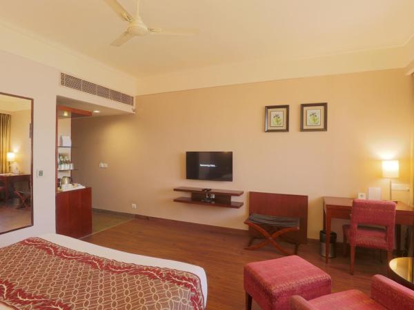 Vesta Maurya Palace : photo 5 de la chambre chambre royale de luxe