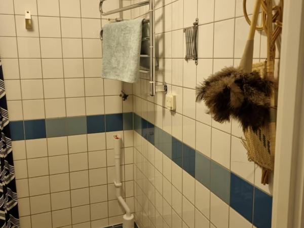 Doktor Forselius gata, The Pink Room : photo 9 de la chambre chambre simple avec salle de bains