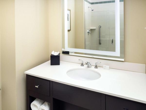 Embassy Suites Saint Louis - Downtown : photo 5 de la chambre suite 1 chambre lit king-size - non-fumeurs