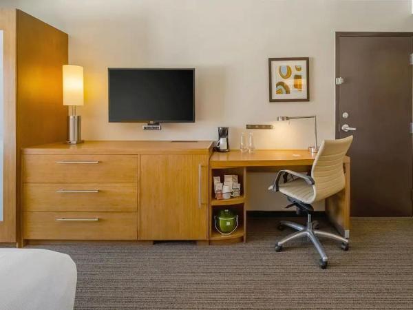 Spacious & Luxurious King Suite at Los Cabos : photo 3 de la chambre suite