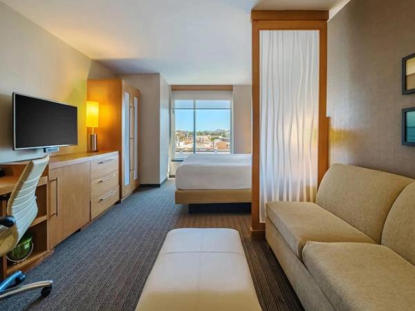 Spacious & Luxurious King Suite at Los Cabos : photo 4 de la chambre suite