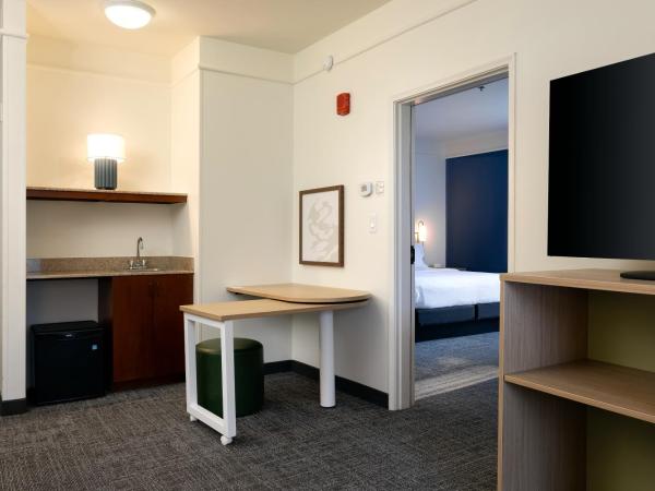 Spark by Hilton Savannah Airport : photo 7 de la chambre suite 1 chambre lit king-size