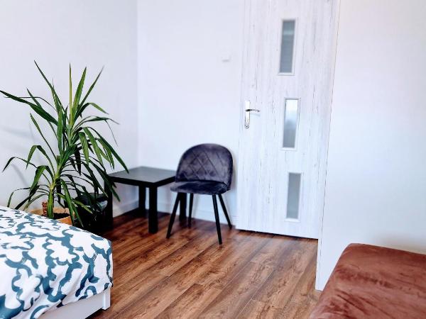 Natolin Pokoje : photo 3 de la chambre chambre lits jumeaux avec salle de bains commune