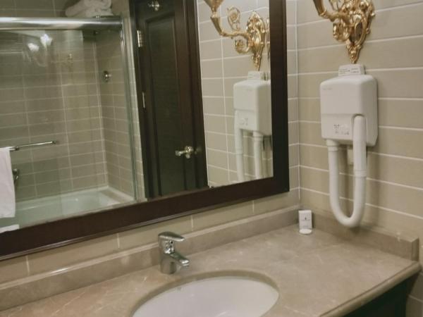 Latanya Palm & SPA Airport Antalya : photo 5 de la chambre chambre familiale standard