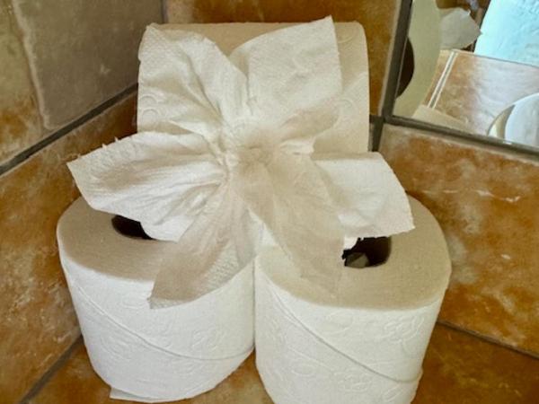 Penzion Kozí Horka u Brněnské přehrady : photo 1 de la chambre chambre familiale avec balcon