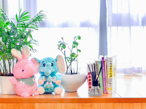 笑脸里青年旅舍天府店 : photo 3 de la chambre chambre quadruple