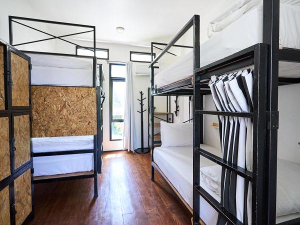 Sherloft Home & Hostel : photo 2 de la chambre lit dans un dortoir de 4 lits