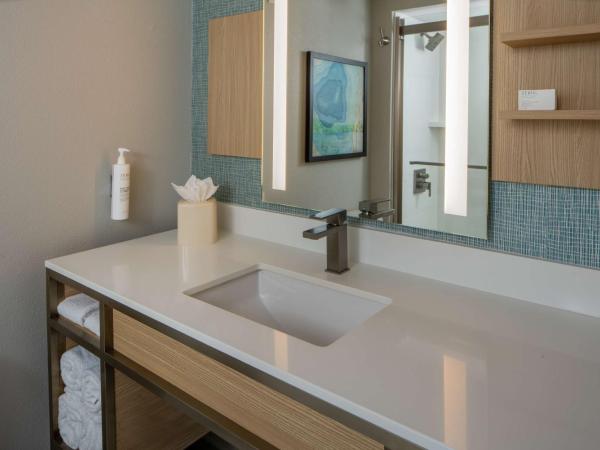 Hilton Garden Inn Orlando Airport : photo 5 de la chambre chambre lit king-size