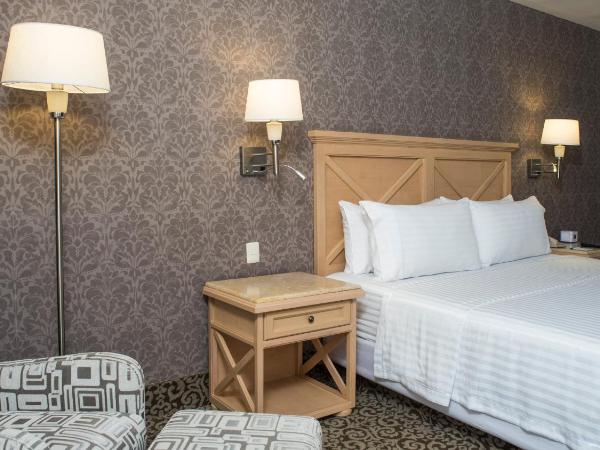 Holiday Inn Queretaro Centro Historico, an IHG Hotel : photo 4 de la chambre chambre lit king-size standard - accessible aux personnes à mobilité réduite