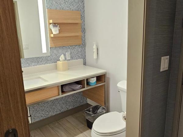 Hilton Garden Inn Colorado Springs Downtown, Co : photo 1 de la chambre chambre lit king-size