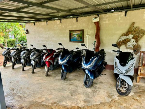 Fine Times Resort : photo 2 de la chambre bungalow supérieur