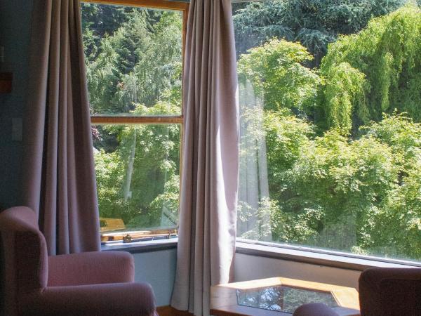 Rupu Pehuen Resort : photo 4 de la chambre appartement 1 chambre