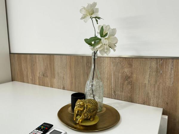 Rodrigues 15 : photo 4 de la chambre studio