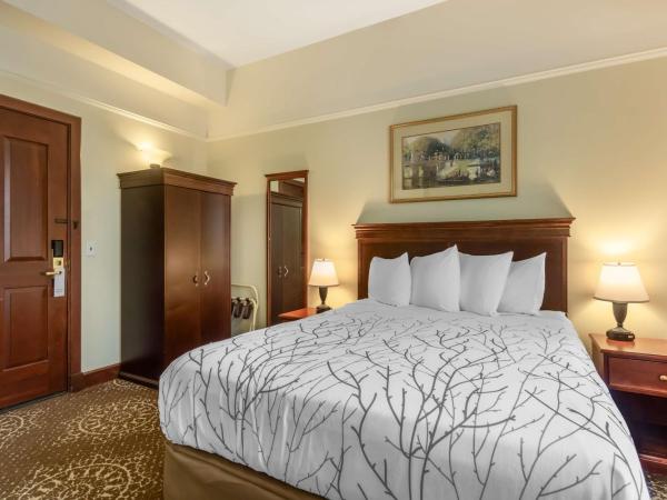 Best Western Plus Pioneer Square Hotel Downtown : photo 1 de la chambre chambre lit king-size standard