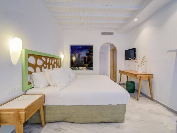 San Antonio Summerland : photo 1 de la chambre chambre double - vue sur jardin