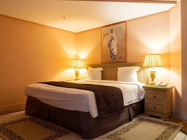 Regency Tunis Hotel : photo 2 de la chambre chambre standard avec vue sur le jardin